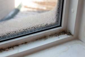 window mold